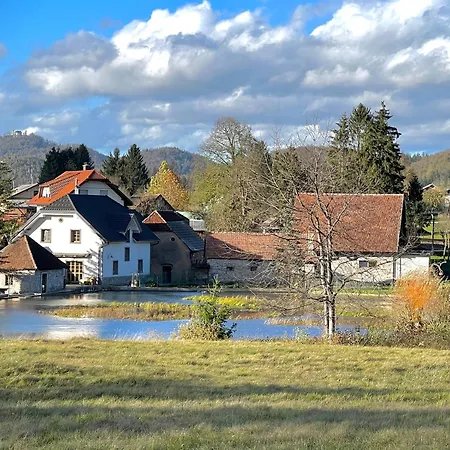 Four-Bedroom Villa Bajer Stari Trg pri Lozu Exterior photo